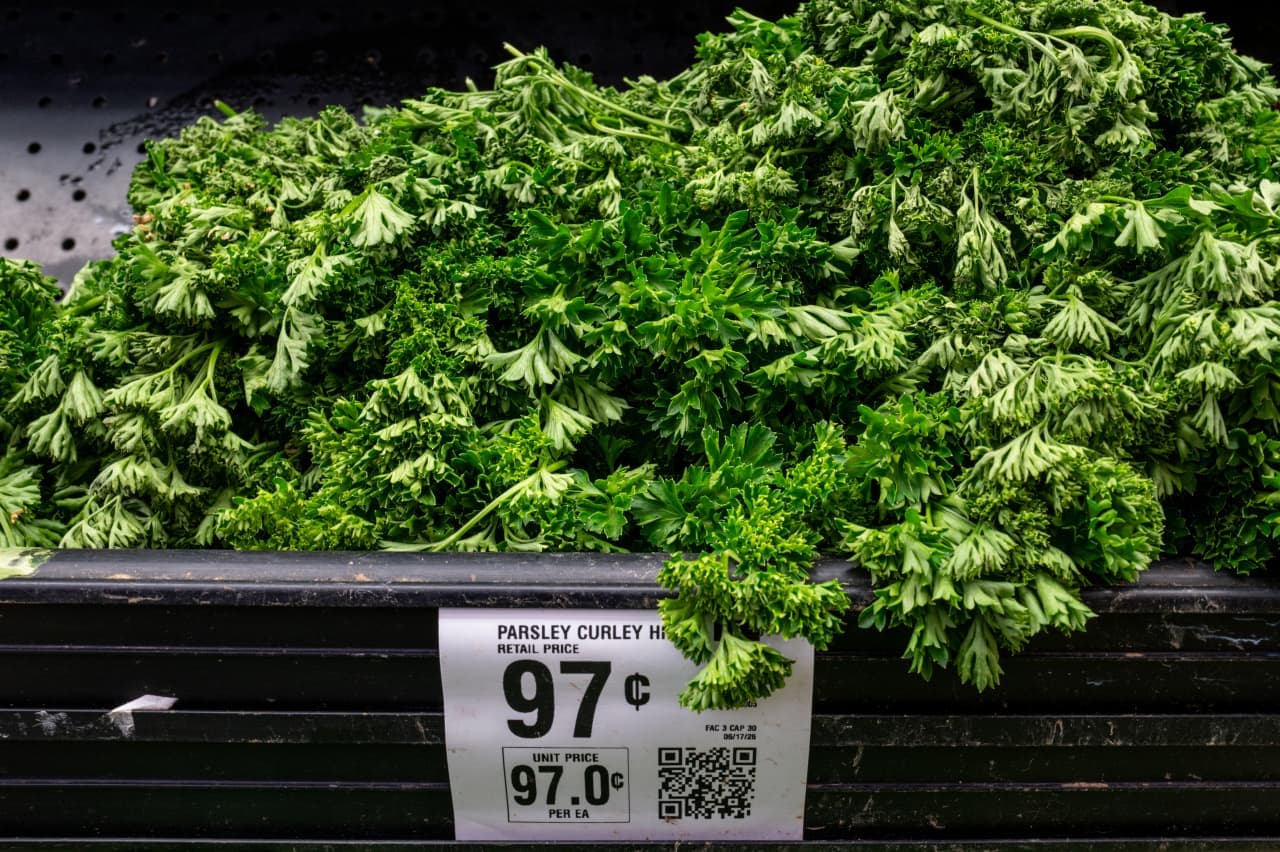 Cyclospora Outbreak: Why This 'Unusual' Epidemic Is So Hard to Contain