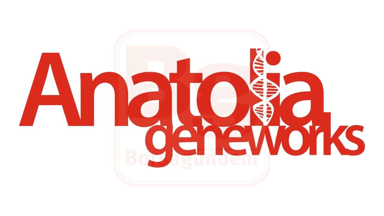 Anatolia Diagnostics and Biotechnology Reports 411.6 Million TL Revenue in H1 2026