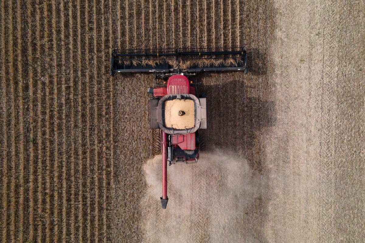 China Extends US Soybean Buying Spree as Trade Thaw Continues