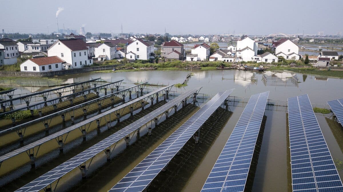 Beijing's Green Hegemony: Energy Transition Fuels Export Surge