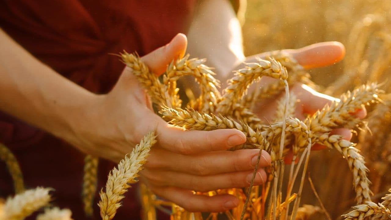 Supply Concerns and Geopolitical Tensions Redirect Commodity Markets