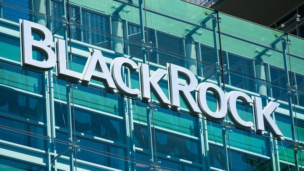 BlackRock’un Boğa Sinyali: Larry Fink’ten Piyasa Momentumu Mesajı