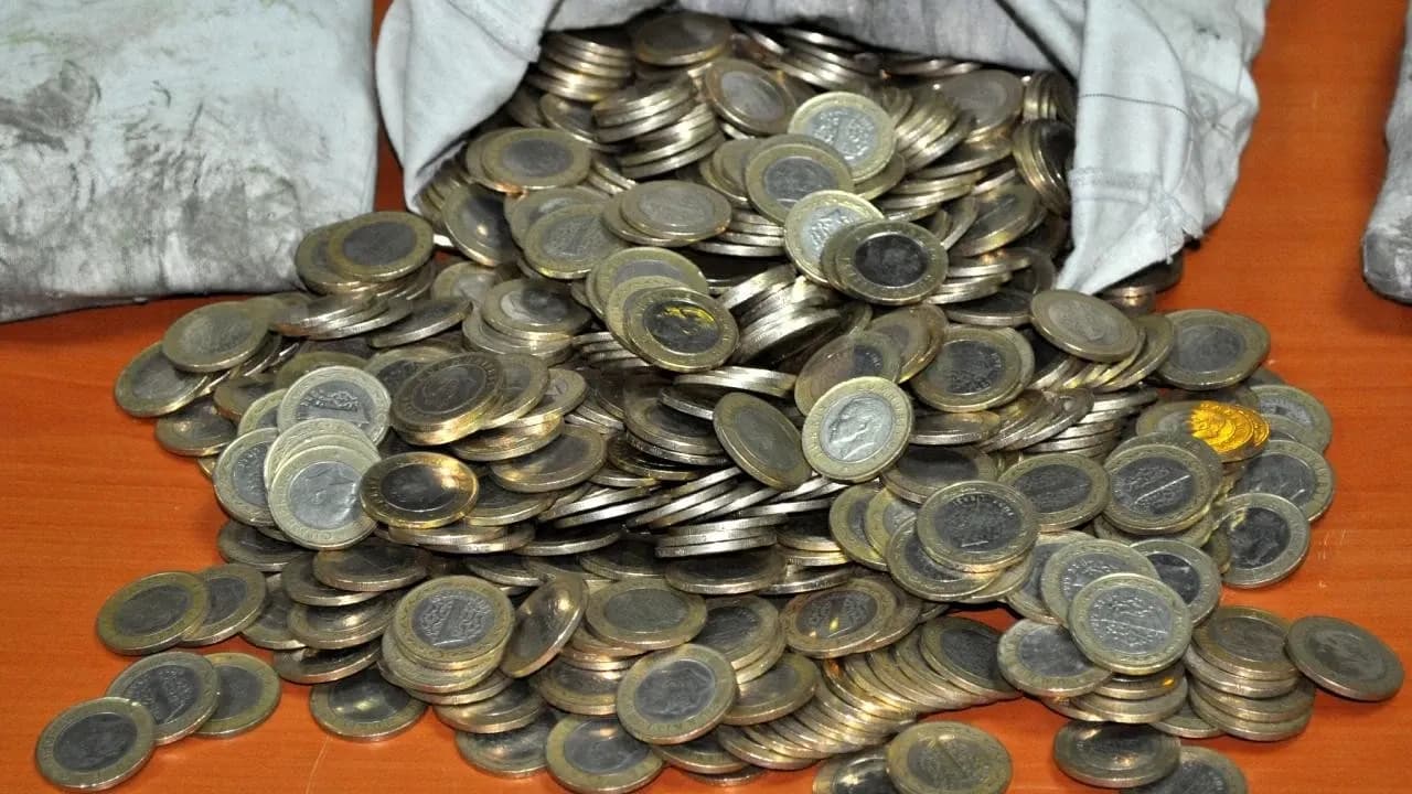 Central Bank 2026 Data Reveals Two Coins Withdrawn Amid High 1 Lira Minting