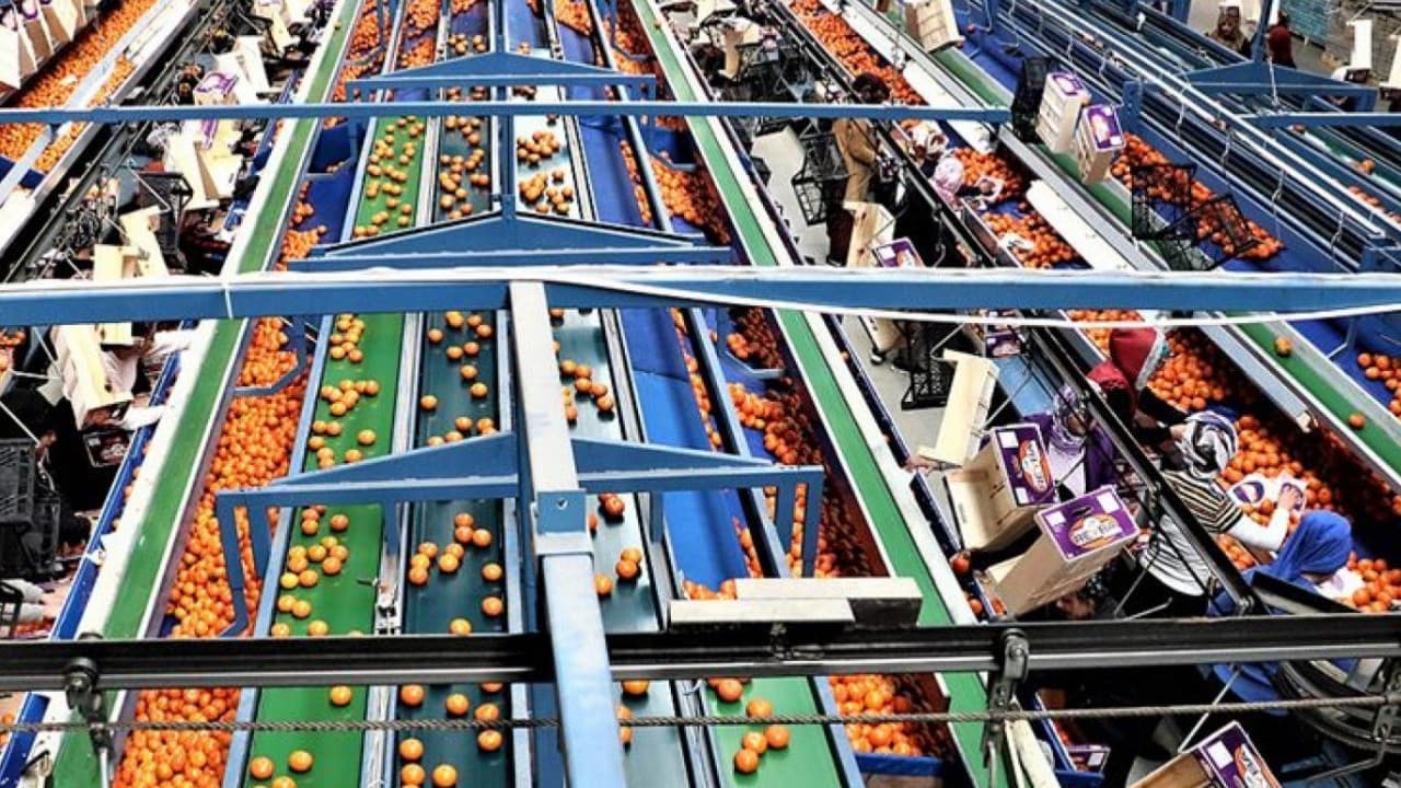 The $31.4 Billion Paradox: Export Success Fails to Tame Domestic Inflation