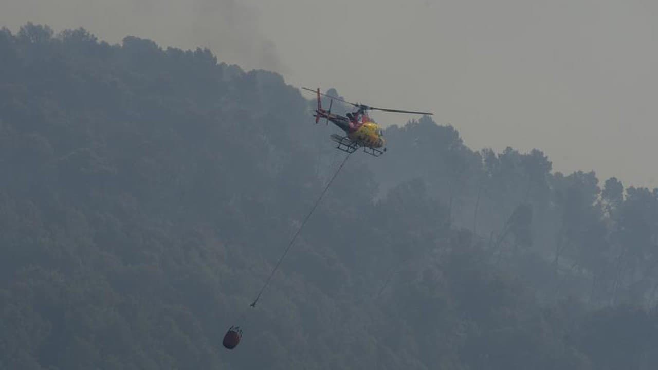 Spain's 12,000-Hectare Wildfire: Environmental and Economic Impact