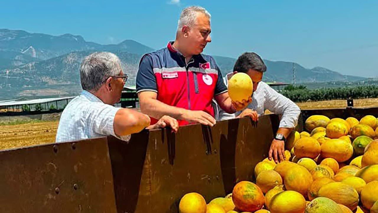 Kırıkhan Kavunu'nun Katma Değer Stratejisi: Bölgesel Ekonomiye Yeni Bir Dönüm