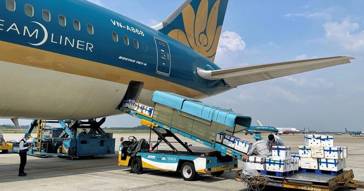 Could Vietnam Airlines Become a New Player in the Global Cargo Transport Arena?